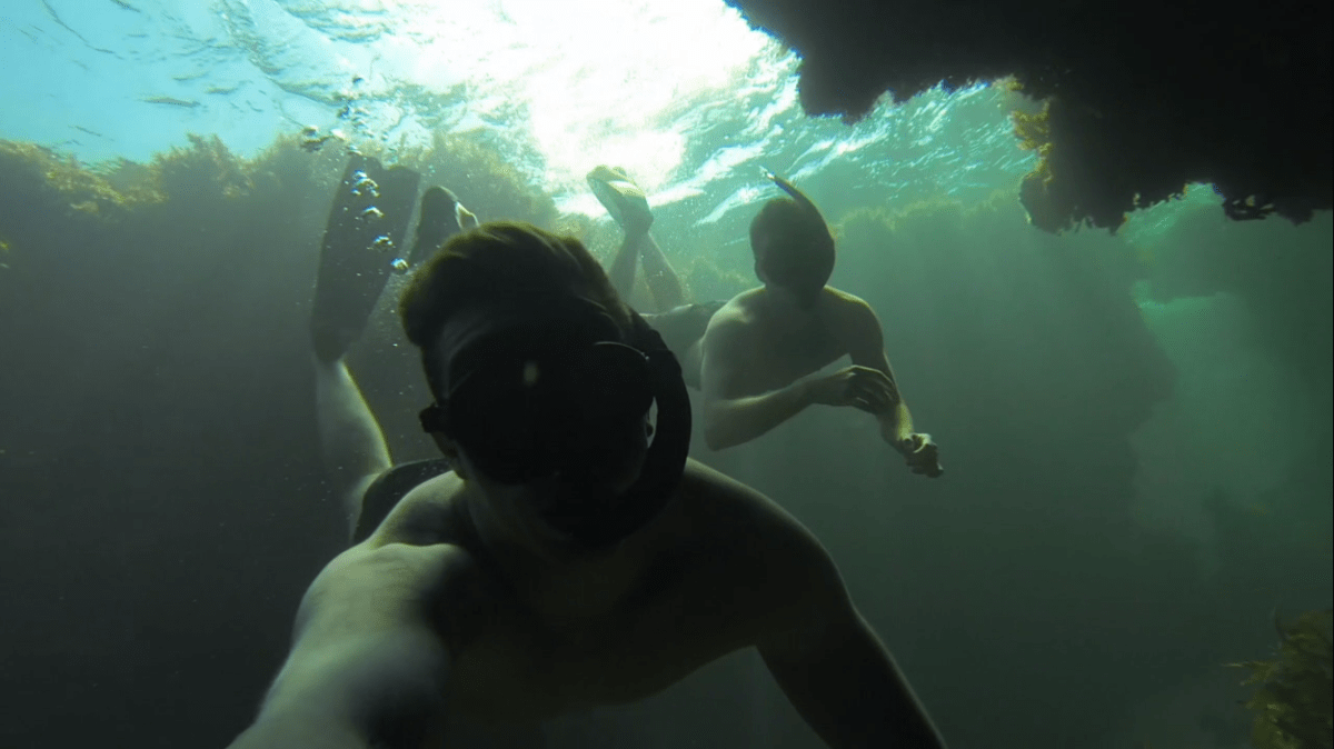 Underwater Dreaming Freediving south of Perth Kane Fitzpatrick